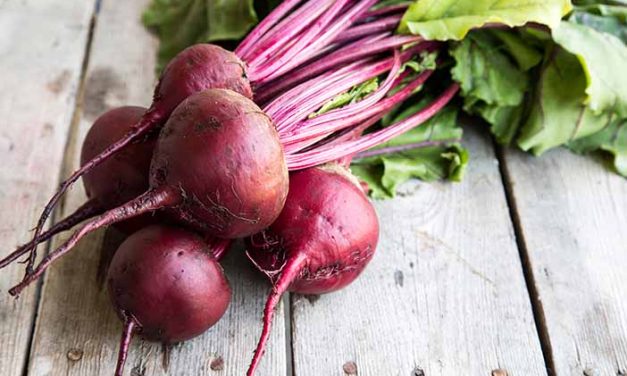 Umbi Bit Atau Buah Memiliki Sejuta Manfaat