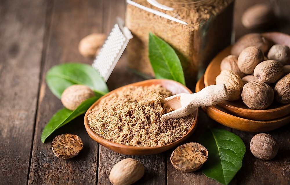 Myristica Fragrans Atau Buah Pala Yang Dapat Di Olah