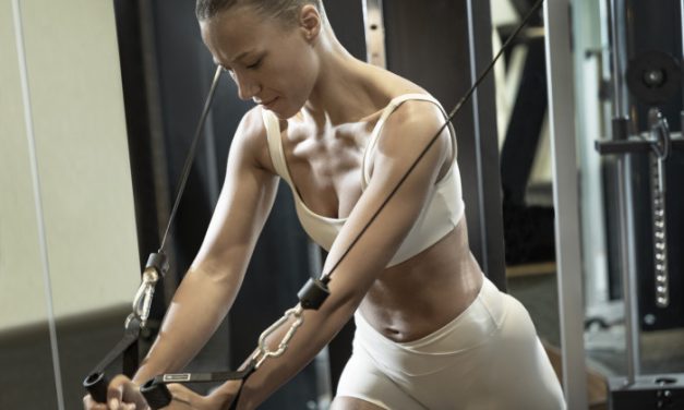 Konsep Kebugaran Olahraga Dengan Menggunakan Fitnes Pintar