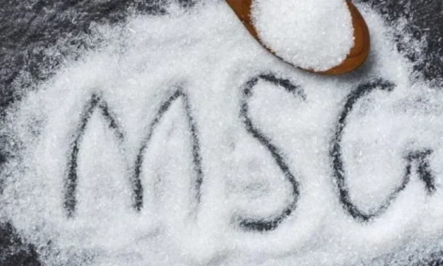 Campuran Bumbu Masakan MSG Sebagai Penyeimbang Rasa