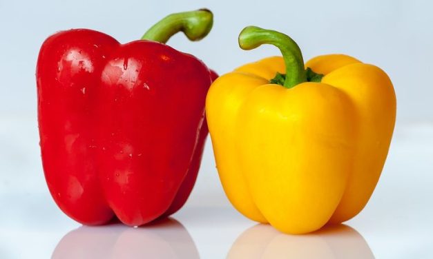 Bahan Sayuran Paprika Jarang Indonesia Gunakan Keseharian