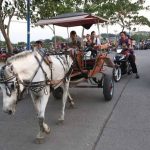 Tunggangan Kuda Suatu Transportasi Tradisional