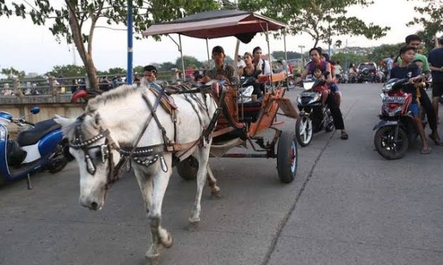 Tunggangan Kuda Suatu Transportasi Tradisional