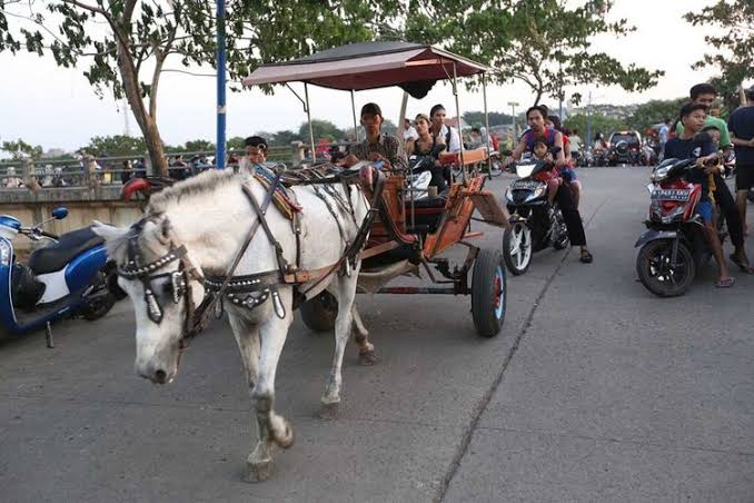 Tunggangan Kuda Suatu Transportasi Tradisional