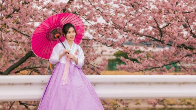 Budaya Luar Negeri Sebuah Pakaian Tradisional Korea