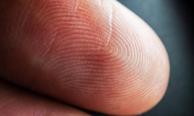 Lekukan Garis Jari Menjadi Sidik Yang Terdeteksi