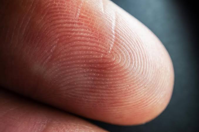 Lekukan Garis Jari Menjadi Sidik Yang Terdeteksi