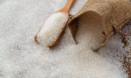 Bahan Dapur Manis Sebuah Gula Tebu